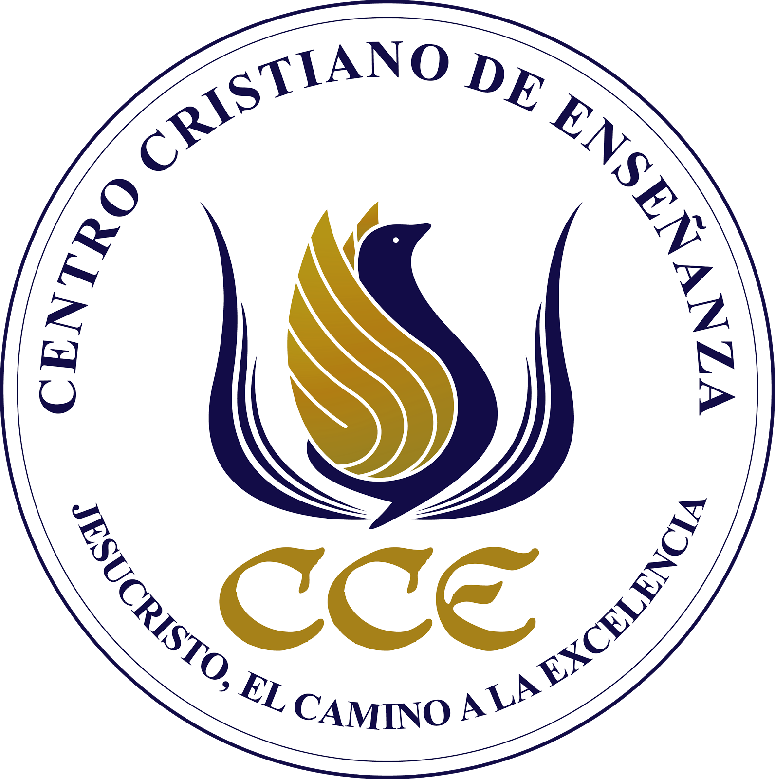 Cristiano De Enseñanza