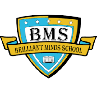 Brilliant Minds School 